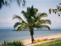 Magnetic Island