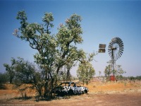 Outback