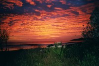Sonnenaufgang bei Woolgoolga