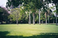 Botanischer Garten in Brisbane