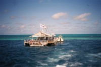 Schnorcheln am Great Barrier Reef