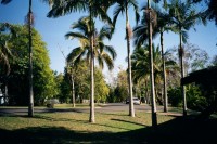 morgens in Airlie Beach