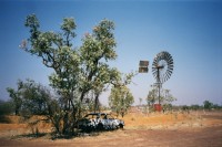 typisches Outback-Foto
