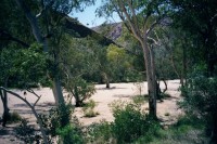 Trephina Gorge